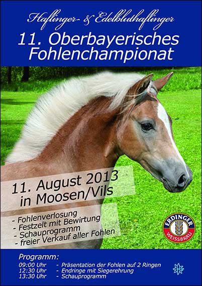 Plakat "Fohlenchampionat"