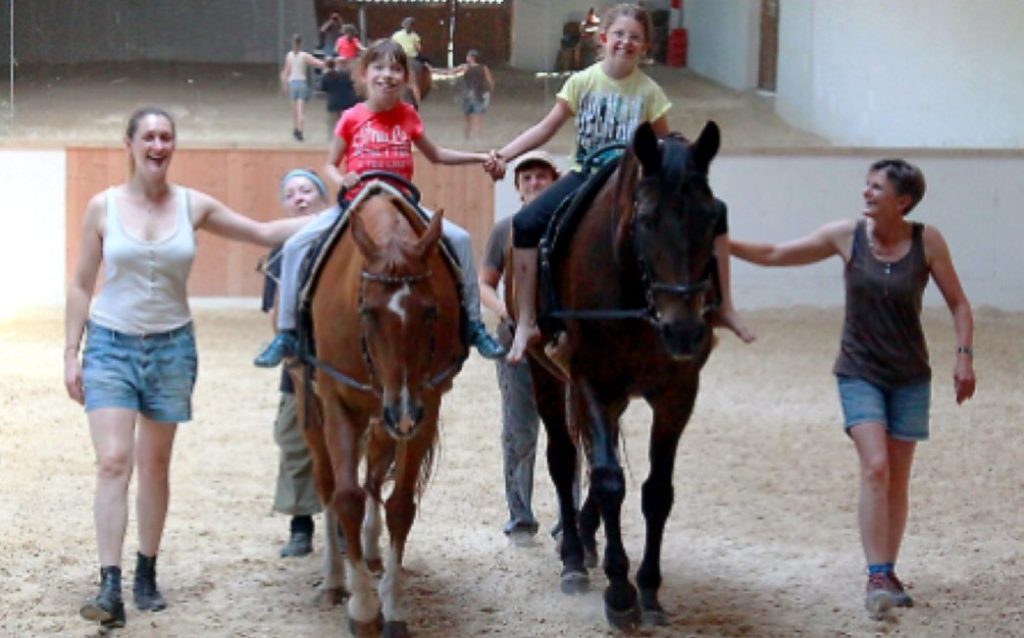 Hippoteam