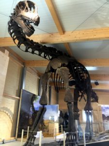 Urzeitmuseum Dino 1