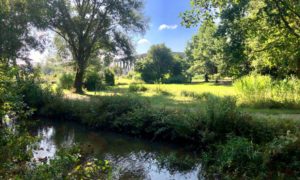 Bürgerpark 2019_Gsedl